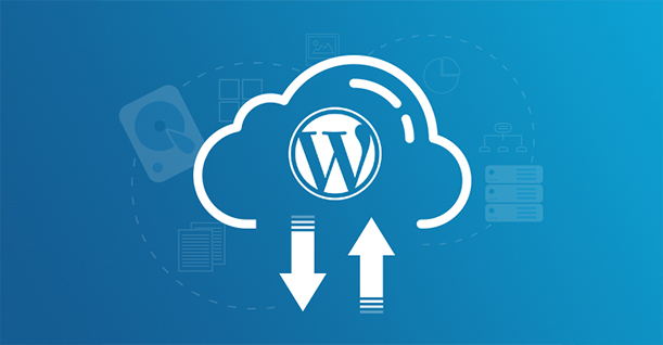 WordPress web sitemi yedeklemenin en kolay yolu nedir ? 2020