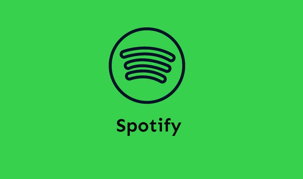 Spotify Connecting İssue Hatası