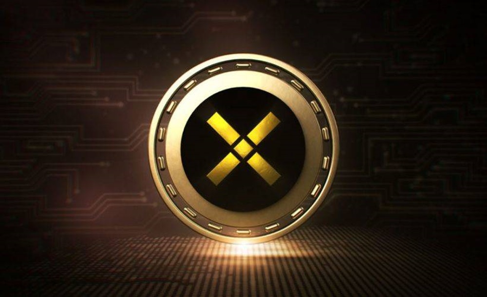 Pundi X Coin Geleceği 2021 En İyi Fiyat Tahminleri 2 Pundi X Coin Geleceği