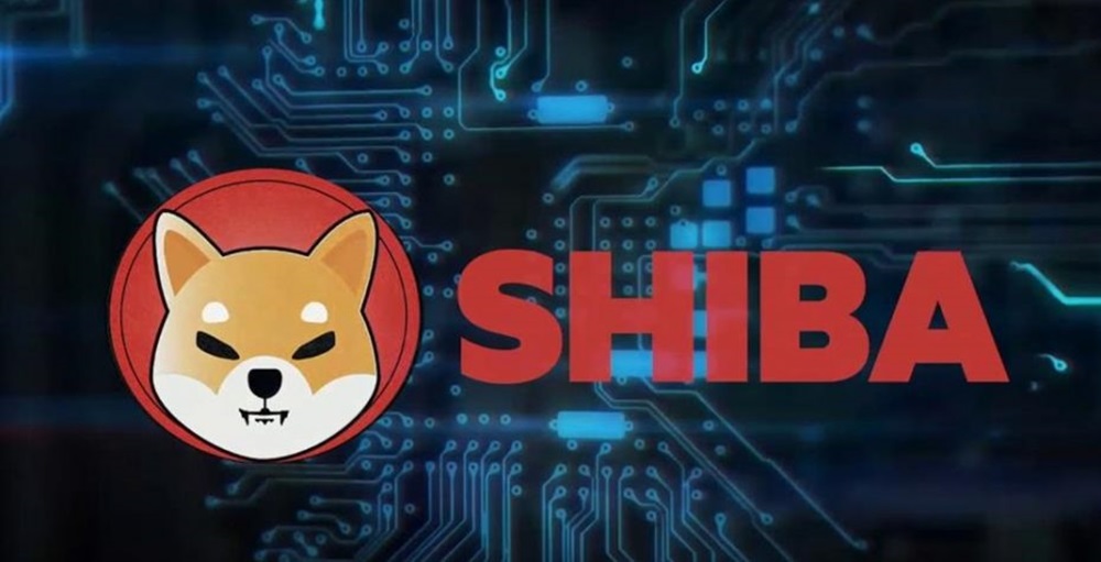 Shib Coin Ne Zaman Çıktı, Çıkış Tarihi