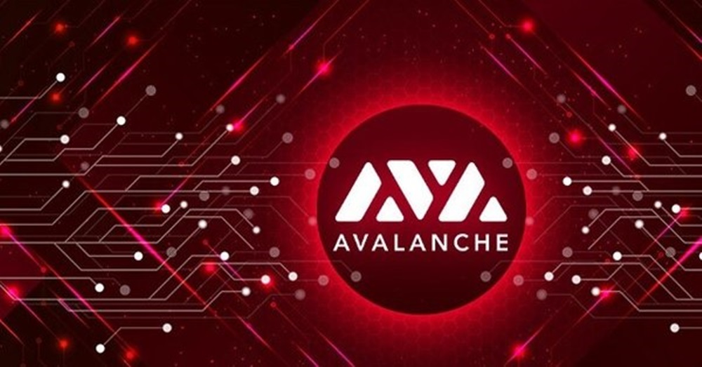 Avax Coin Nedir? Avax Coin Geleceği 2021