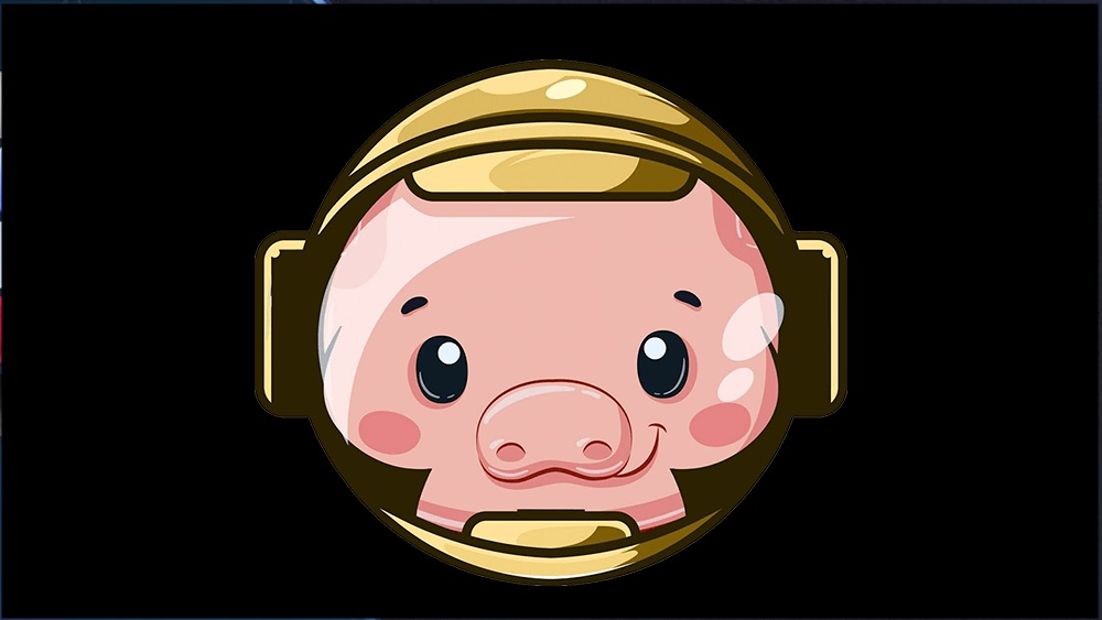 PİG Coin Nedir? Pig Coin Geleceği 2021