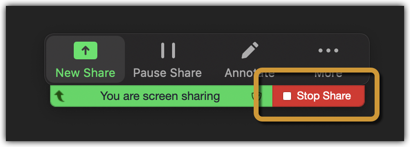zoom share 2