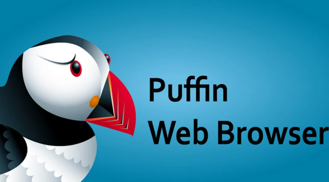 Puffin Pro Apk Son Sürüm 2021 İndir