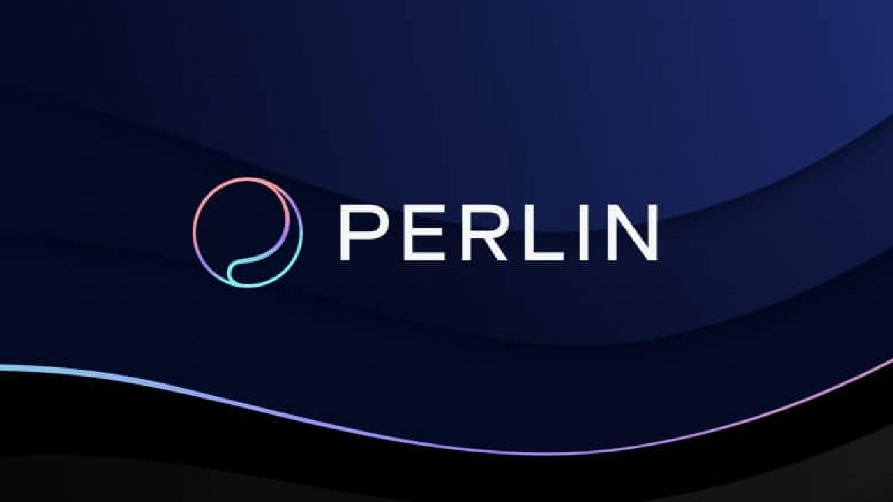 Perl Coin Geleceği 2021-2022-2023-2024-2025
