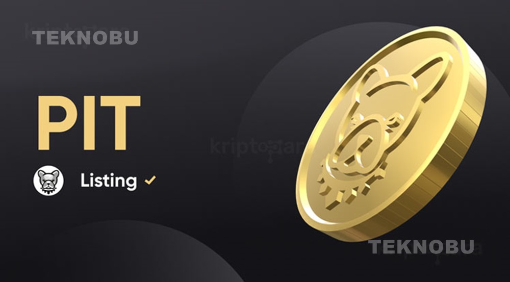 Pitbull Coin Nedir? Pitbull Coin Geleceği 2021 1 Pitbull Coin Nedir? Pitbull Coin Geleceği 2021