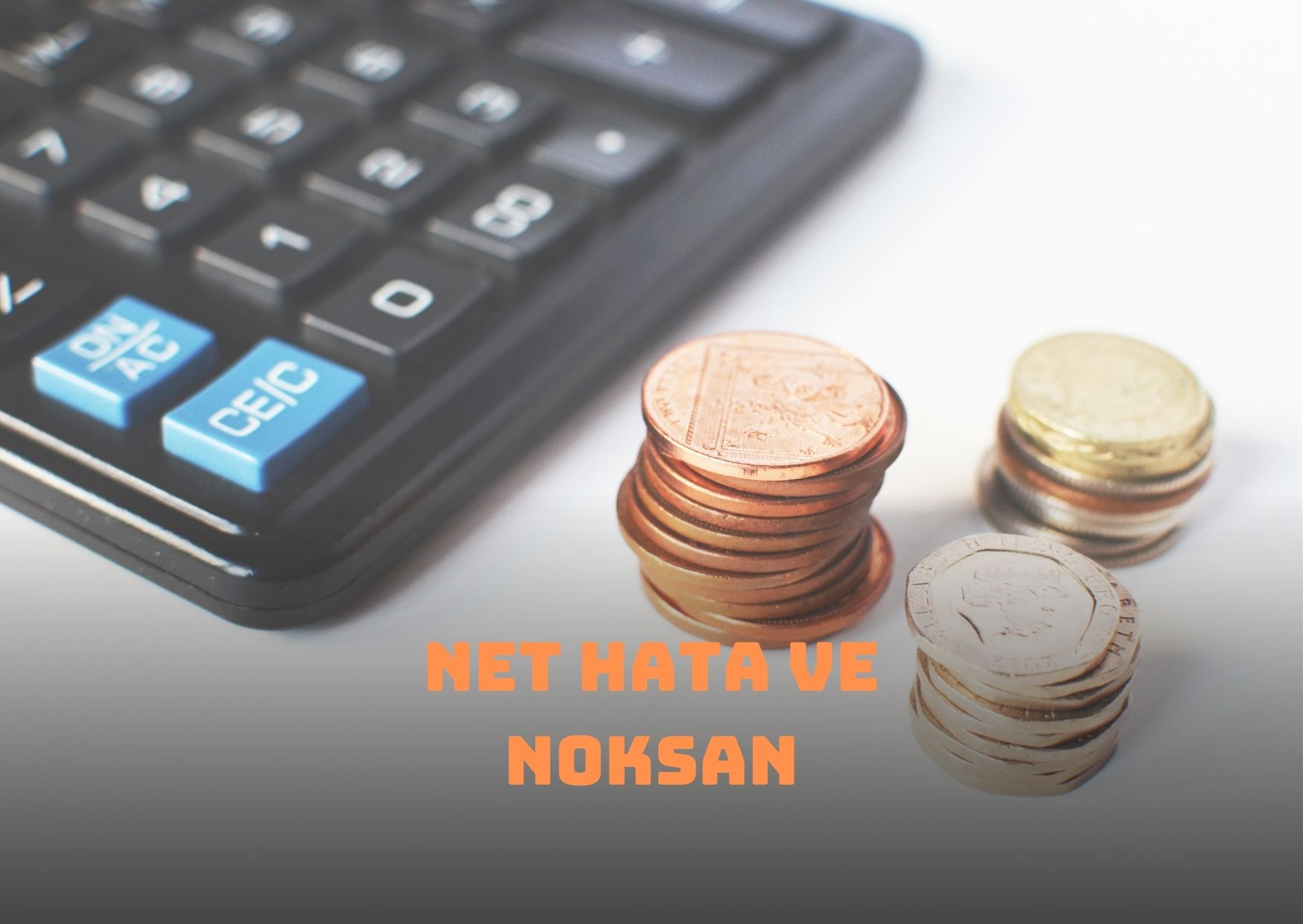 Net Hata Noksan Ne Demek? 2022