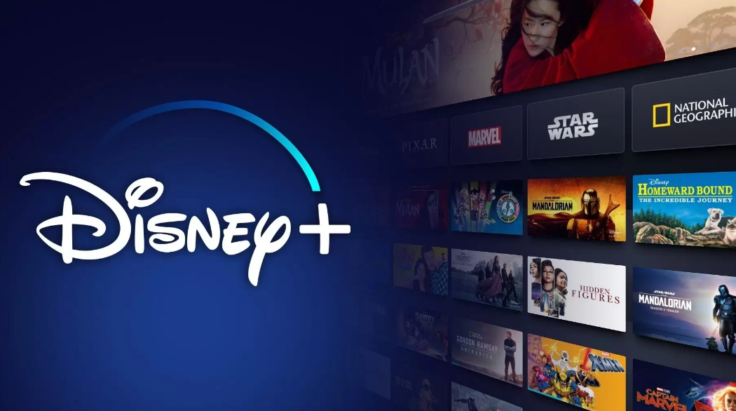 Disney Plus Hata Kodu 93 