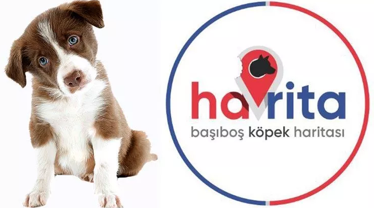 Havrita K&ouml;pek Nedir? 