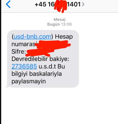 Usd Bnb com Nedir