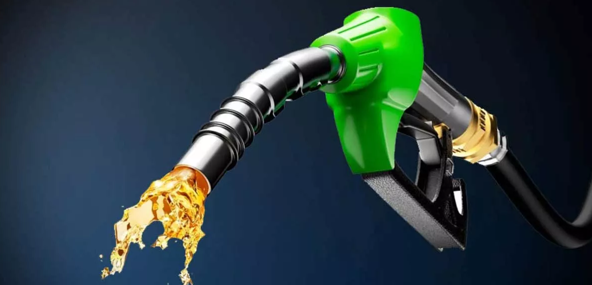 Artvin’de Petrol Var mı? Artvin’de Petrol mü Çıktı? 2022