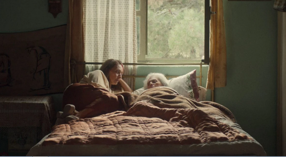 Cici Film Yorumları