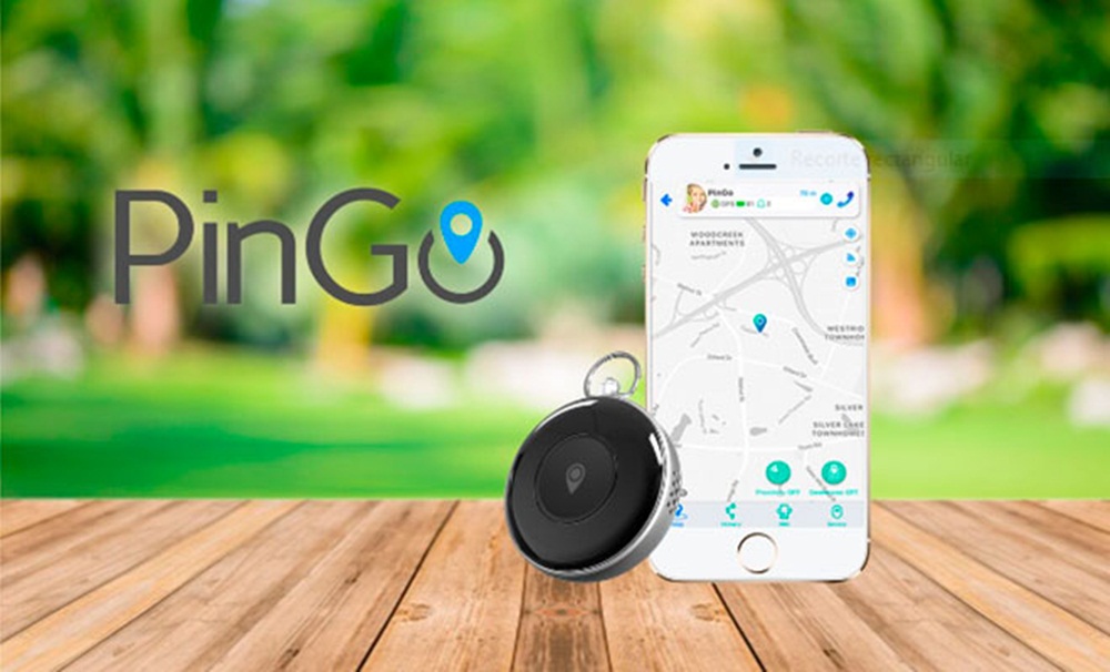 Pingo Uygulaması Nedir, Ne İşe Yarar? 2023