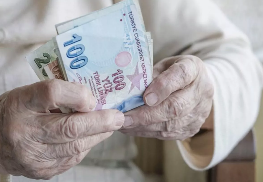 Evde Bakım Parası E-Devlette Gözükmüyor?