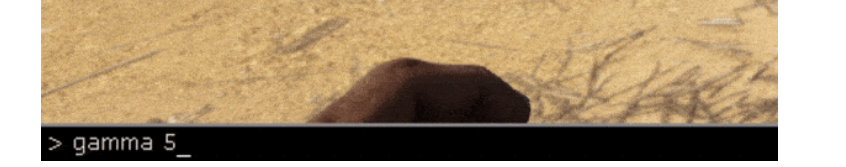Ark Gamma Ayarı Nasıl Yapılır? (2023) 3 image 84