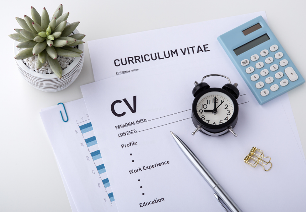 Bim CV Hazırlama – Bim CV Örneği (2023)