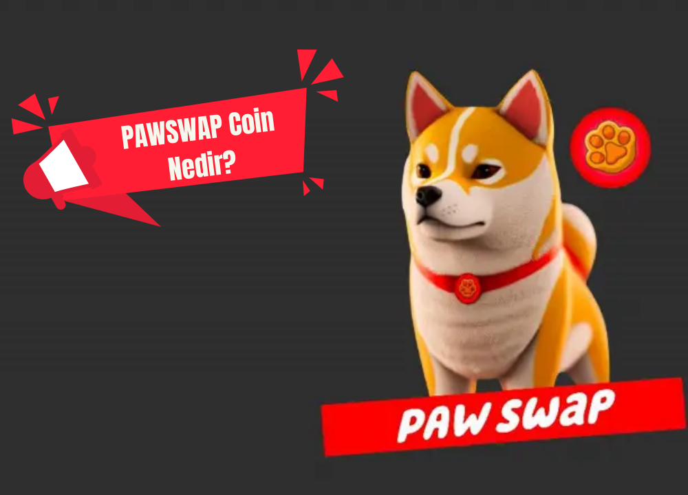 PAWSWAP Coin Nedir? PAWSWAP Coin Yorum (2023)