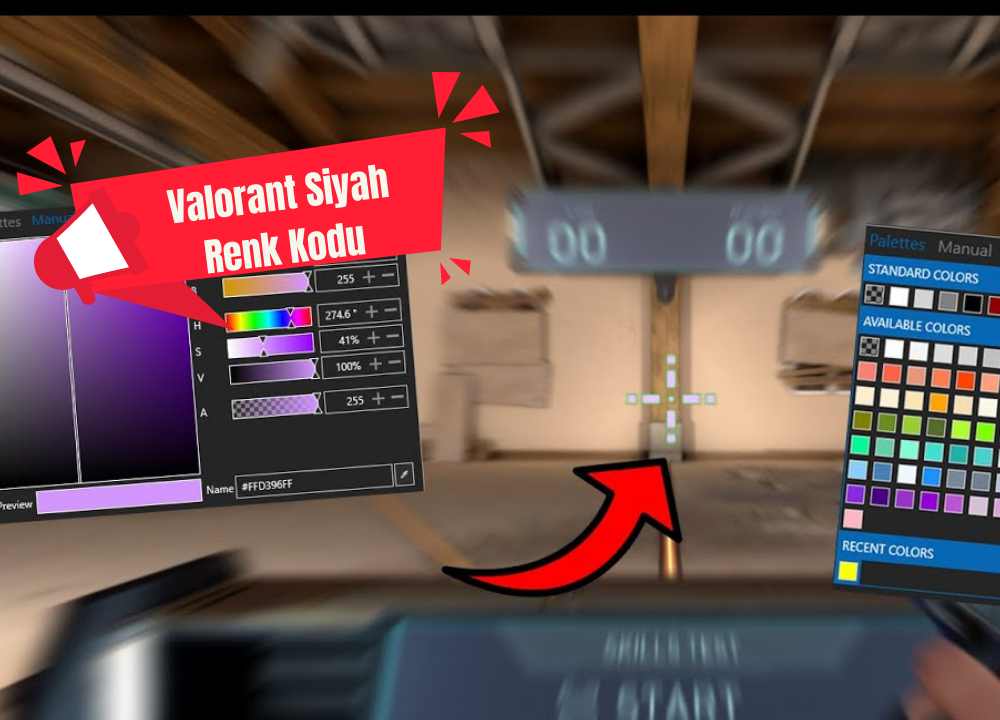 Valorant Siyah Renk Kodu