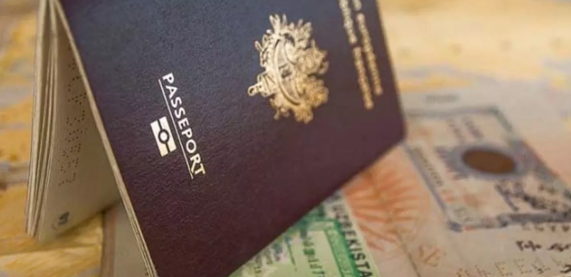Almanya Depremzedeleri Alıyor mu? (2023)