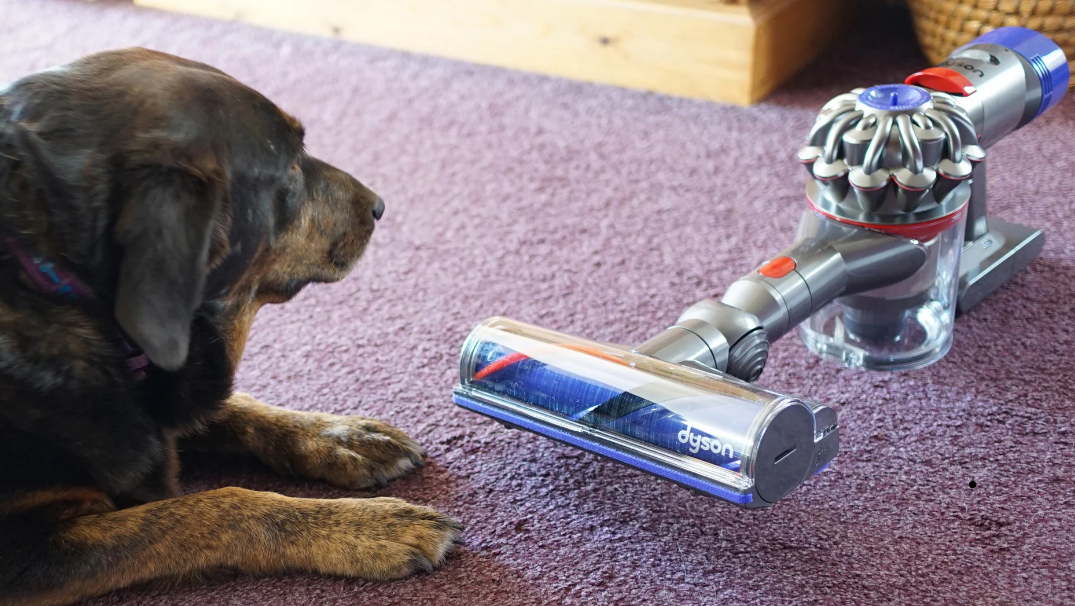 Dyson Hayvan Tarama Başlığı Nedir, Nasıl Kullanılır? (2023)