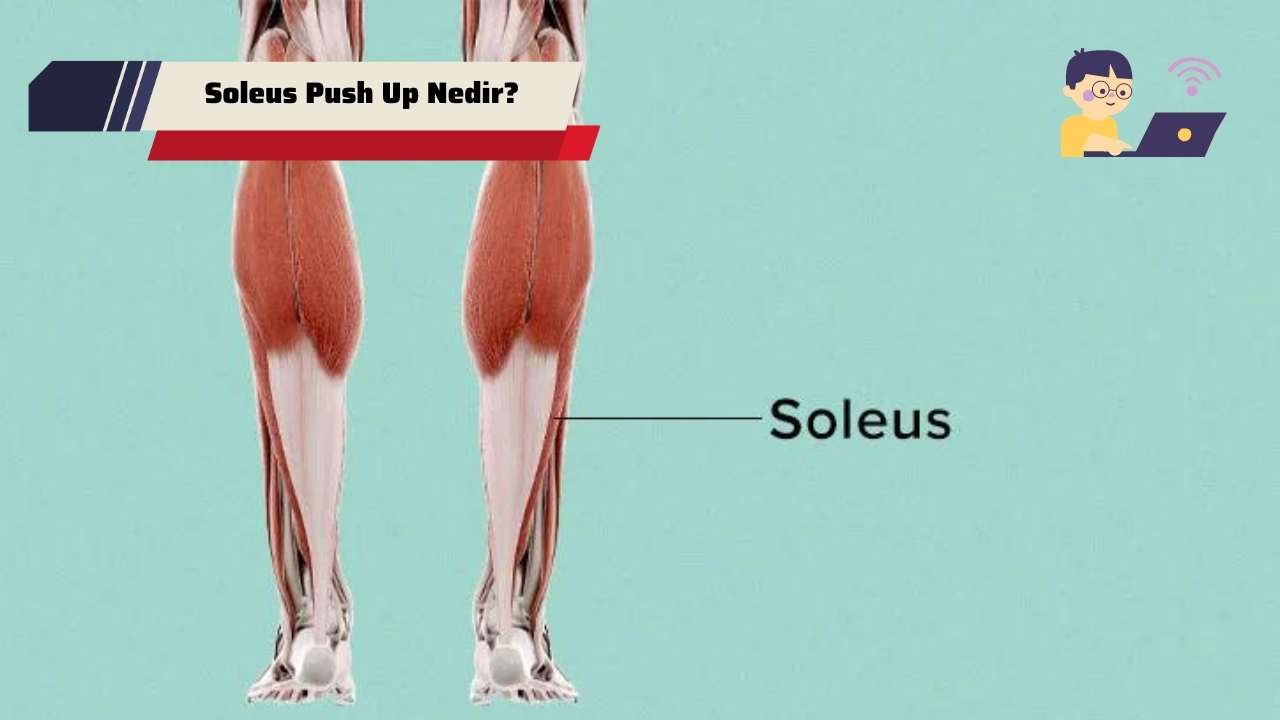 Soleus Push Up Nedir? Nasıl Yapılır? (2023)