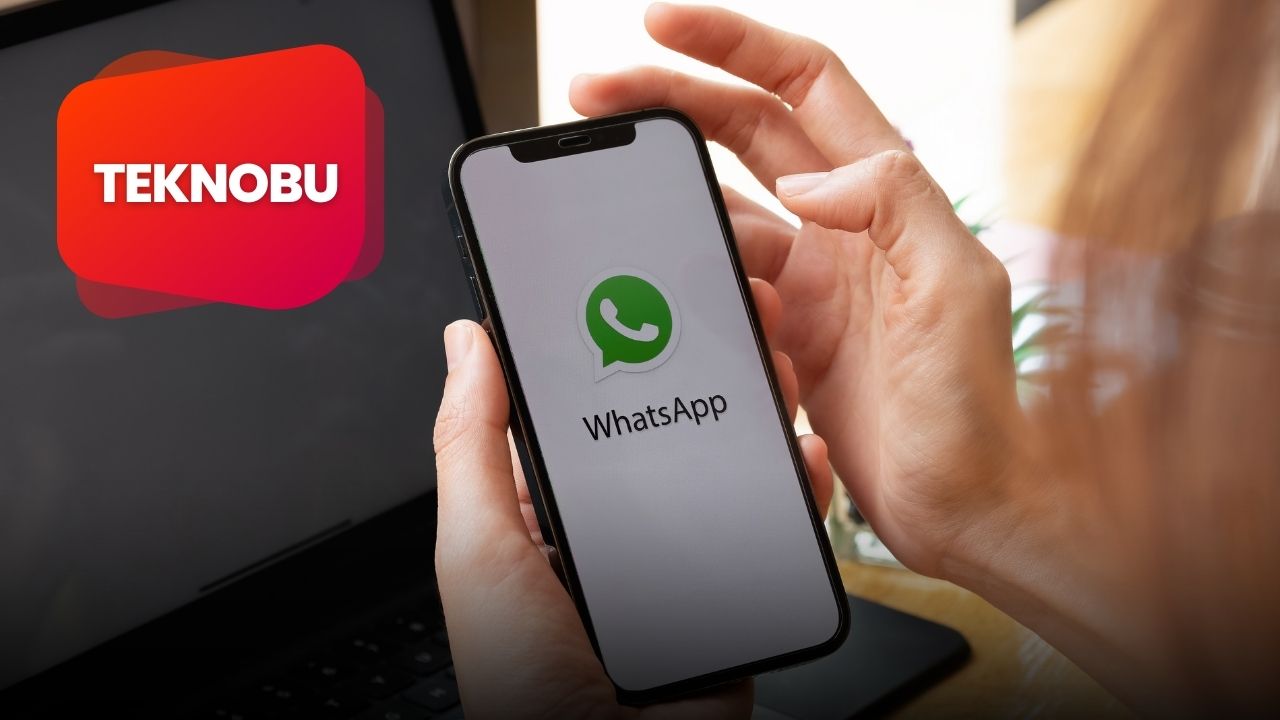 Whatsapp Belki Nedir? (2023)