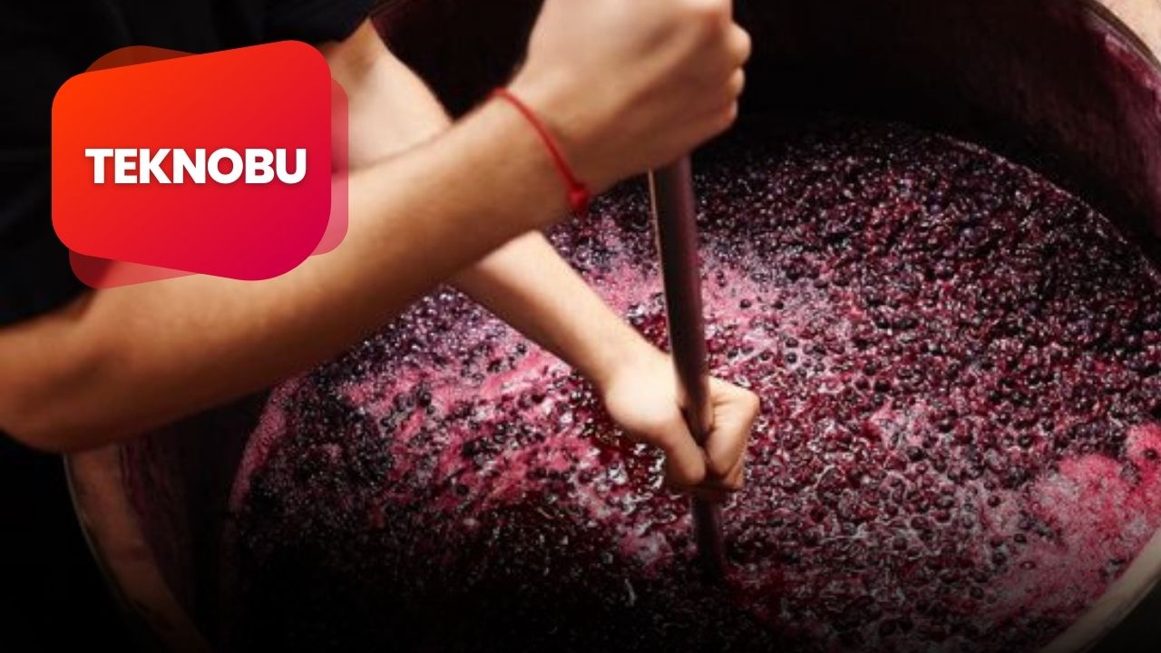 Winemaker Nedir? Ne Anlama Geliyor?