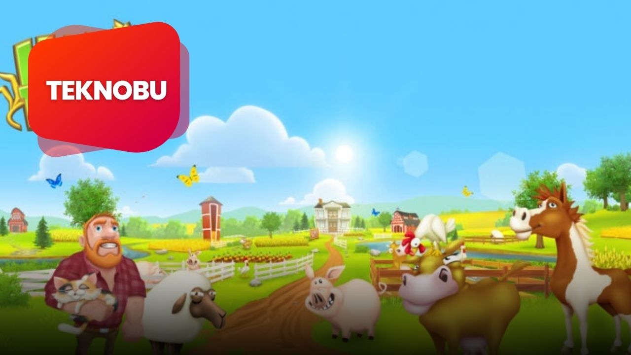 Hay Day Barınak Kitap Standı Nerede
