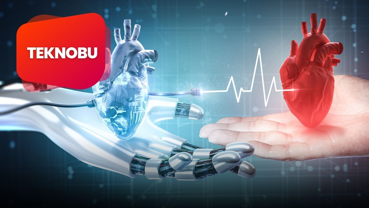 Vena Cava Superior Kalbin Hangi Boşluğuna Açılır?