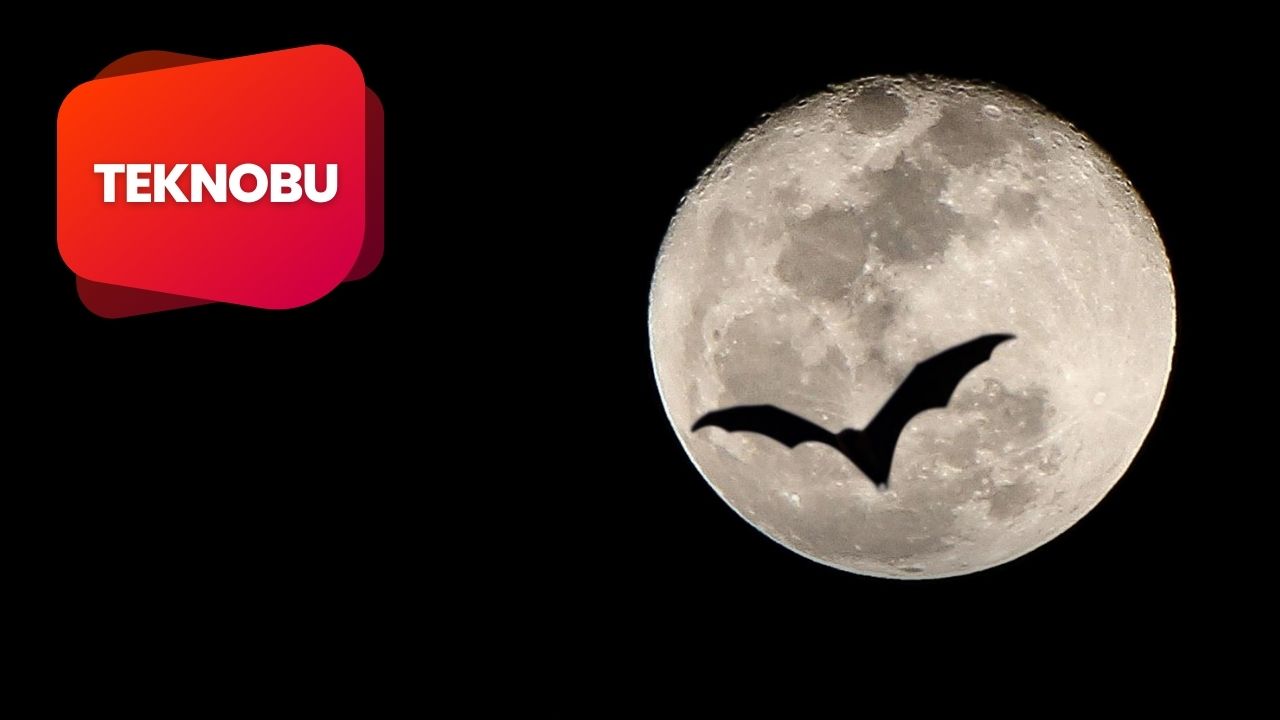 teknobu 2023 04 06T163901.308