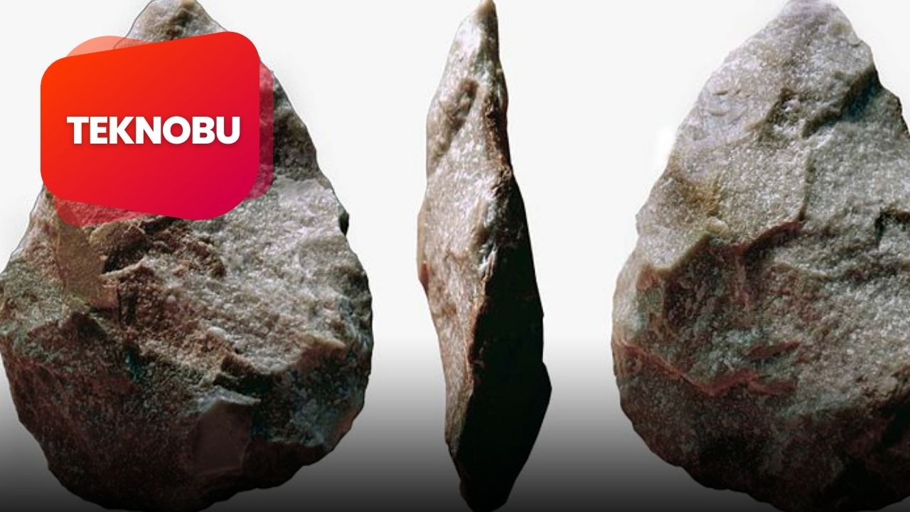 İlk Taş Aletleri Yapan İnsan Türü (2023)
