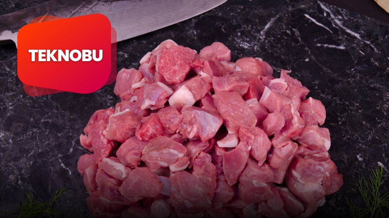 Tüm Kuzu Fiyatları Almanya