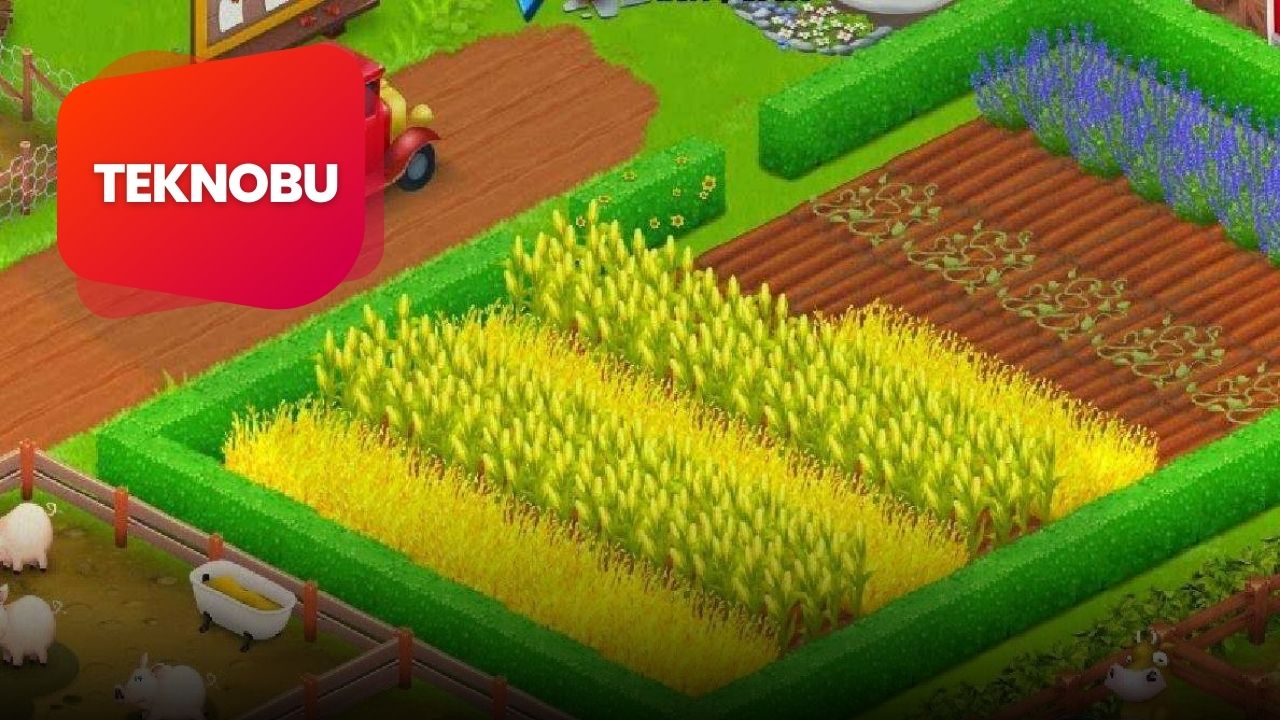 Hay Day İ&ccedil;erik &Uuml;reticisi Kodu