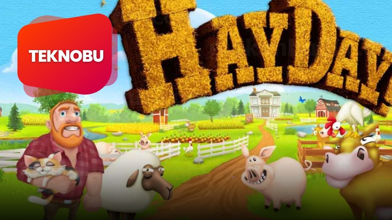 Hay Day Bağışlar Nasıl Toplanır