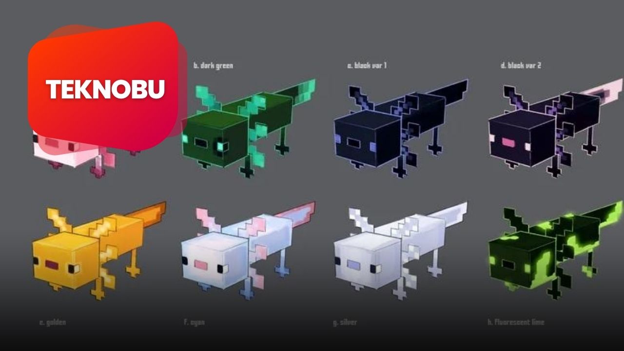 Minecraft Axolotl Ne Yer? Nasıl Beslenir? (2023) 2 Minecraft Axolotl Ne Yer