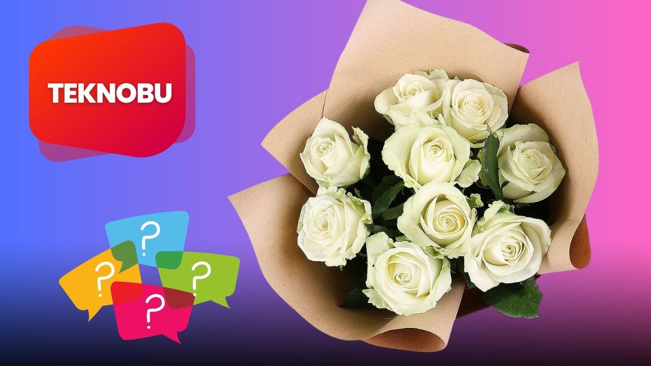 9 Beyaz Gülün Anlamı Nedir? Ne Anlama Geliyor? (2023)