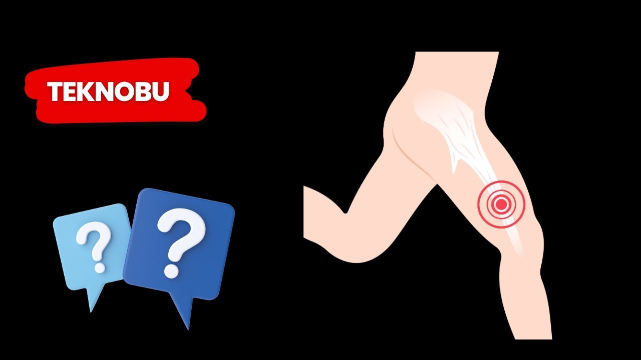 Dizle Kalça Arasına Ne Denir? (2023)