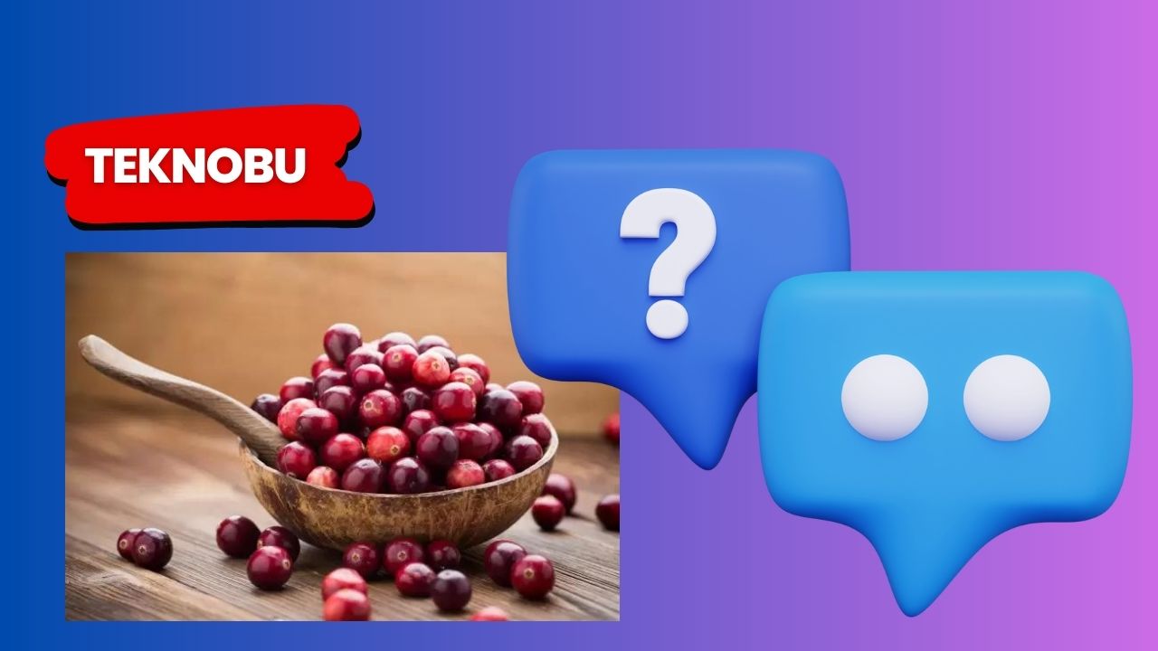 Cranberry Grape Nedir? Elektronik Sigara (2023)