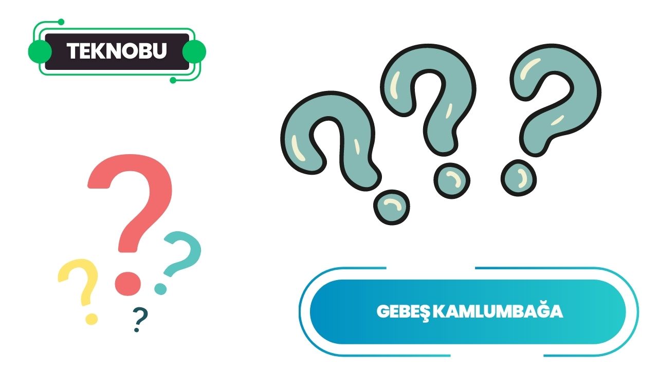 Gebeş Kaplumbağa Ne Demek?