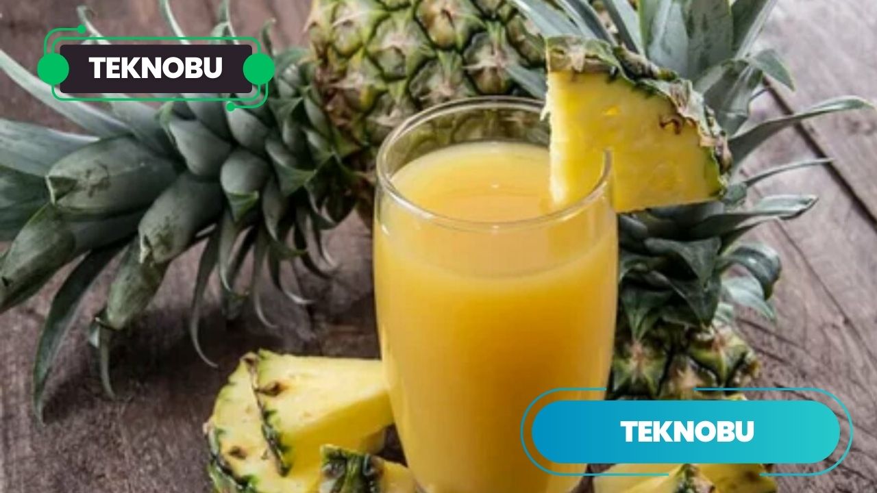 Kadınlar Neden Ananas Suyu İçer? (2023)