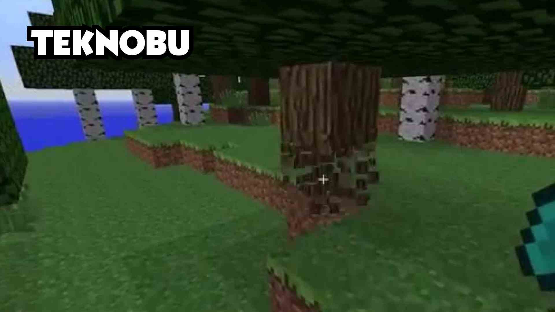 Minecraft Ağaç Kırma Modu (2023)