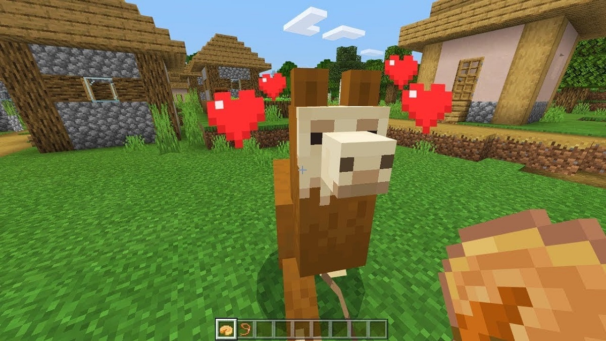 Minecraft Lama Nasıl Kontrol Edilir?