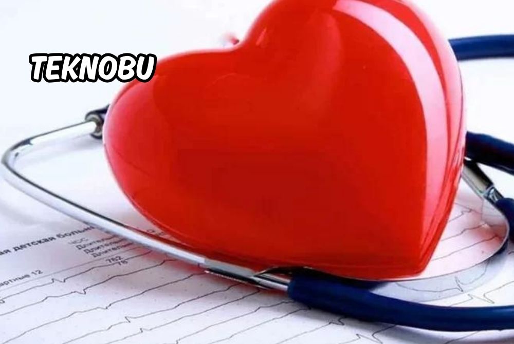 E-Nabız Gündüz Yatak Tarifesi Nedir?