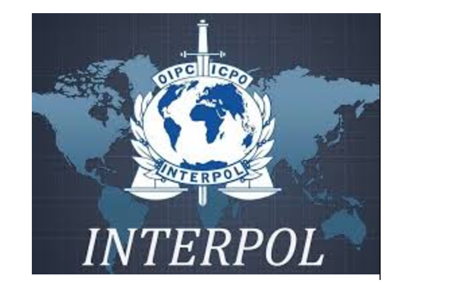 Interpol tarafından aranıyorsanız ne yapmalısınız? 7 Interpol tarafından aranıyorsanız ne yapmalısınız?