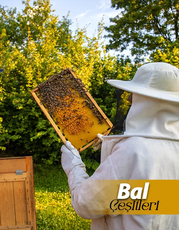 Süzme Bal Kullanarak Sağlıklı İçecekler 10 Süzme Bal Kullanarak Sağlıklı İçecekler