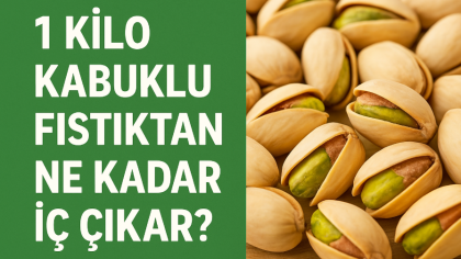 1 Kilo Kabuklu Fıstıktan Ne Kadar İç Çıkar
