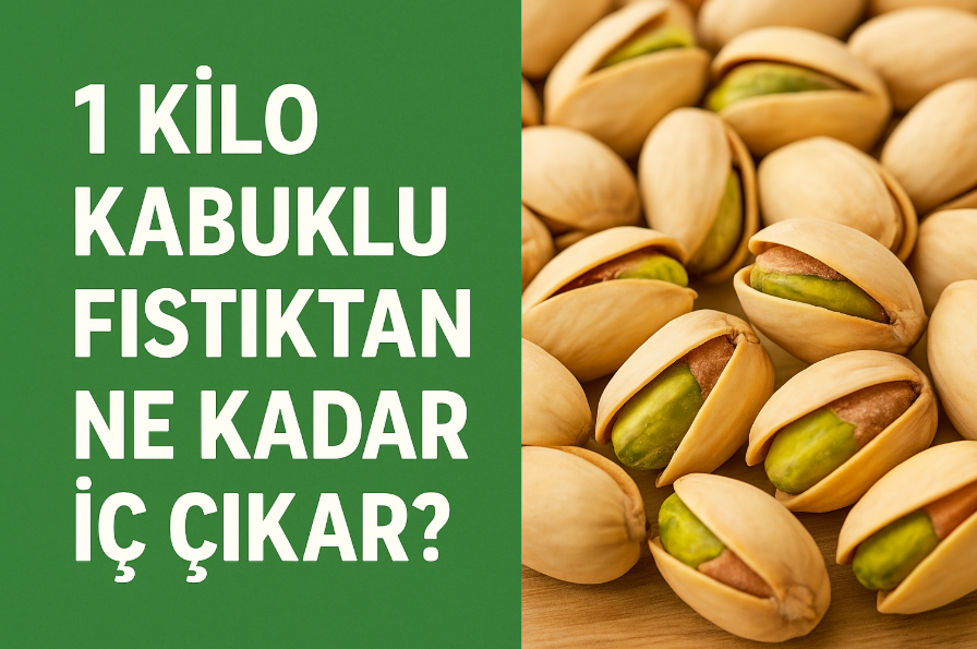 1 Kilo Kabuklu Fıstıktan Ne Kadar İç Çıkar? Gerçek Verim Oranı Nedir?